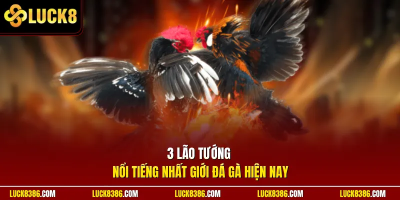 3 lão tướng nổi tiếng nhất giới đá gà hiện nay