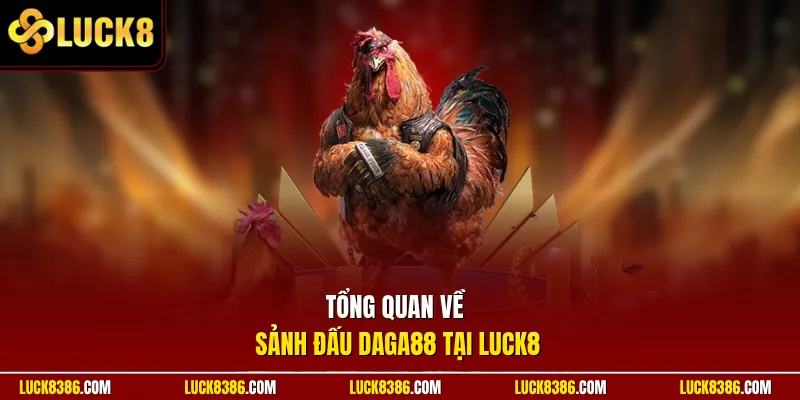 Tổng quan về sảnh đấu DAGA88 tại Luck8