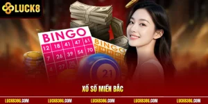 Xổ Số Miền Bắc Thu Hút Hội Viên Mỗi Ngày Ở Nhà Cái Luck8